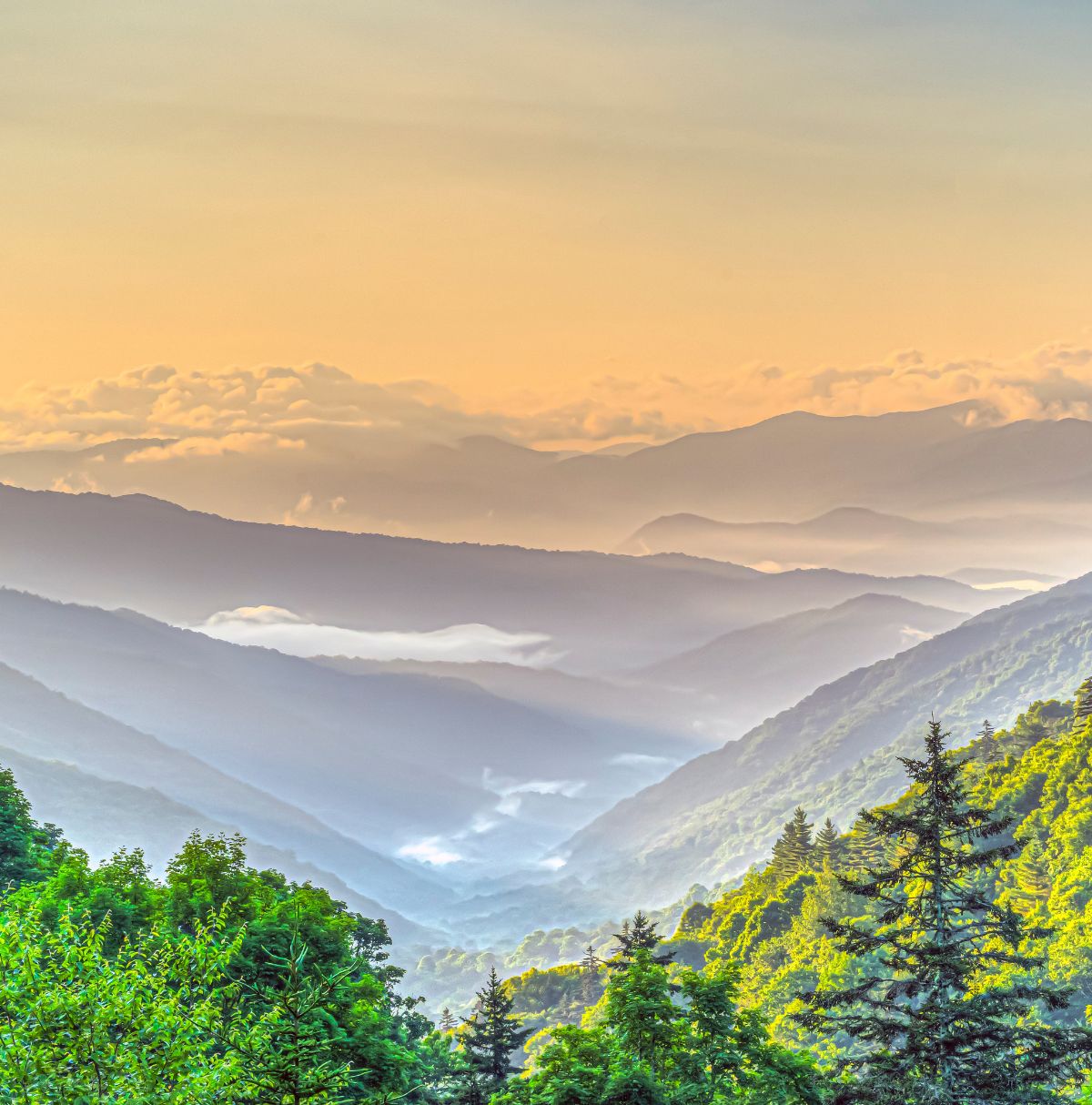 Vacation Condo Rentals Smoky Mountain Escapes Vacation Rentals